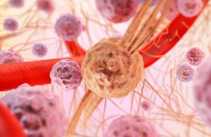 Hormony- czym są i jak mogą działać na komórki